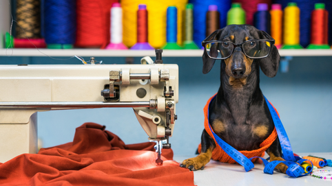 Immagine di copertina: I nostri consigli per scegliere la tua macchina da cucire