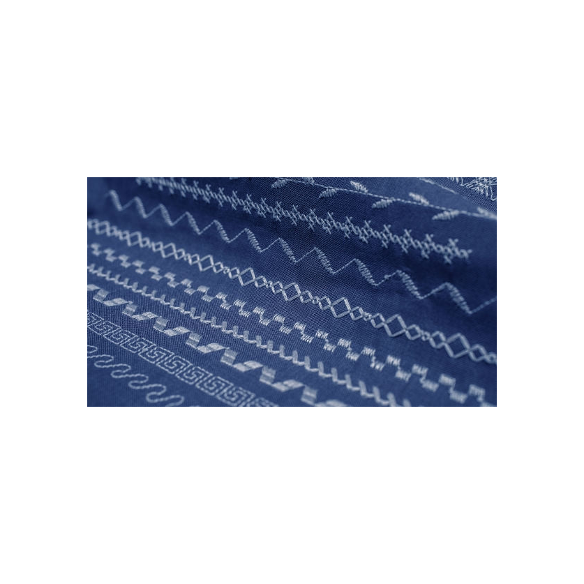 Macchina da cucire Pfaff Ambition 610