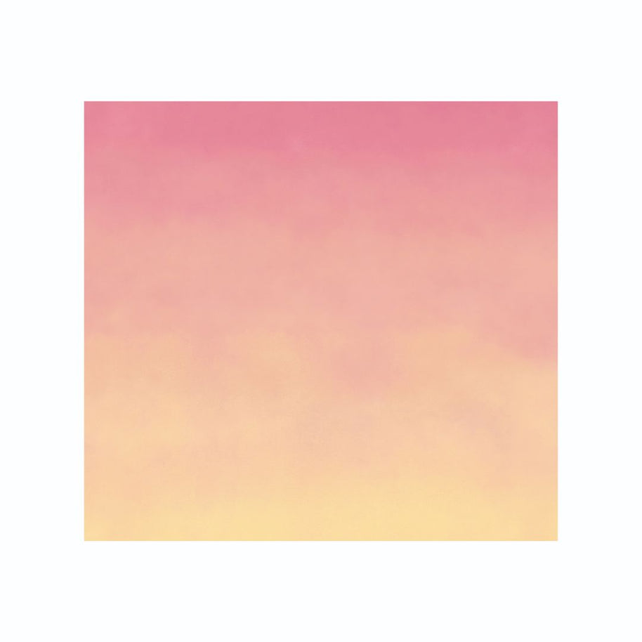 Cricut fogli infusible ink limonata rosa 2008887
