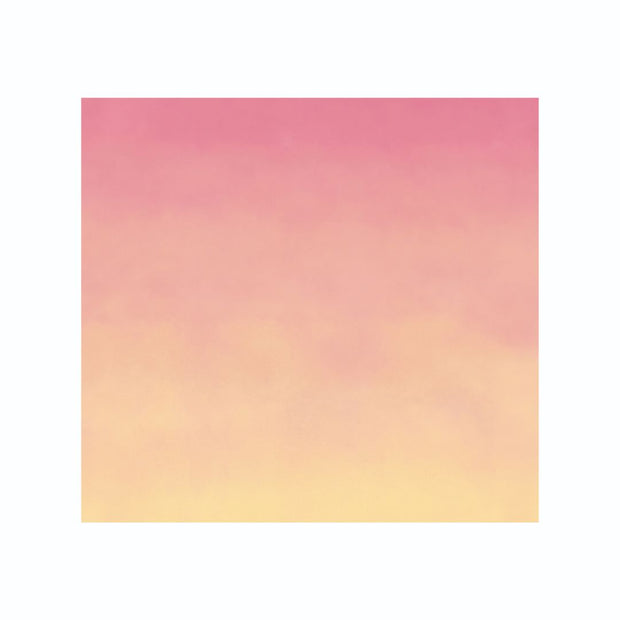 Cricut fogli infusible ink limonata rosa 2008887