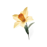 Fustella Sizzix BigZL 665107 Narciso