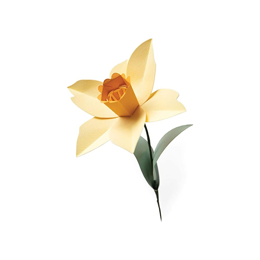 Fustella Sizzix BigZL 665107 Narciso