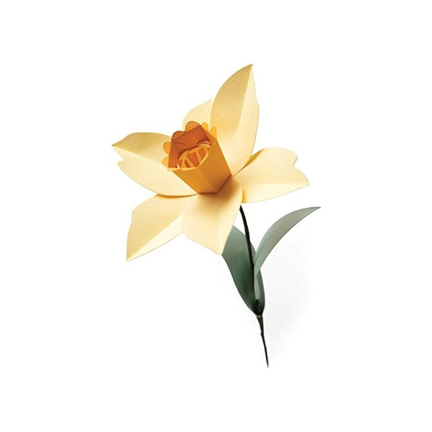 Fustella Sizzix BigZL 665107 Narciso