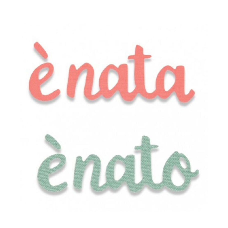 Fustella BigZ Sizzix 662970 è nata è nato