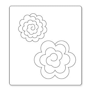 rosa